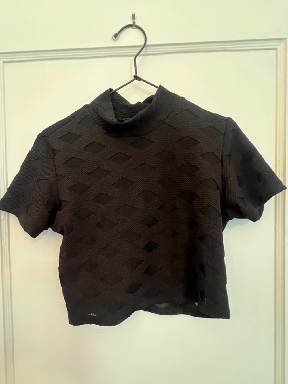 The Pretty Cult Sheer Geometric Crop Top Short Sleeve Sz Medium Goth
